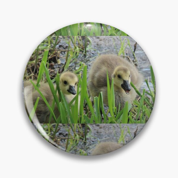Item preview, Gosling Siblings designed and sold by Susie Kramer.