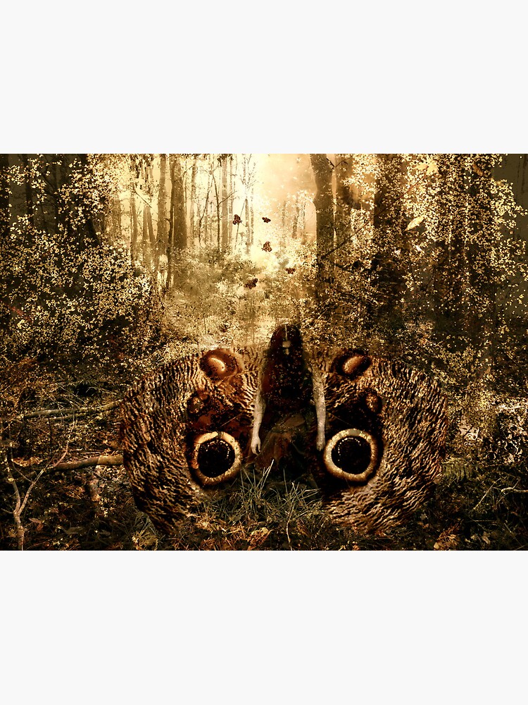 Thumbnail 2 of 2, Greeting Card, Moth designed and sold by KatarinaSilva.