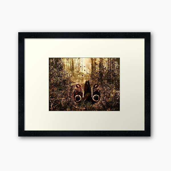 Moth Framed Art Print