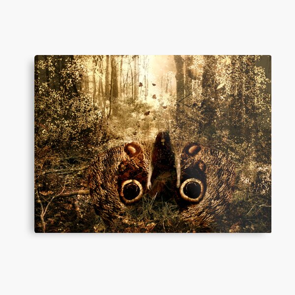 Moth Metal Print