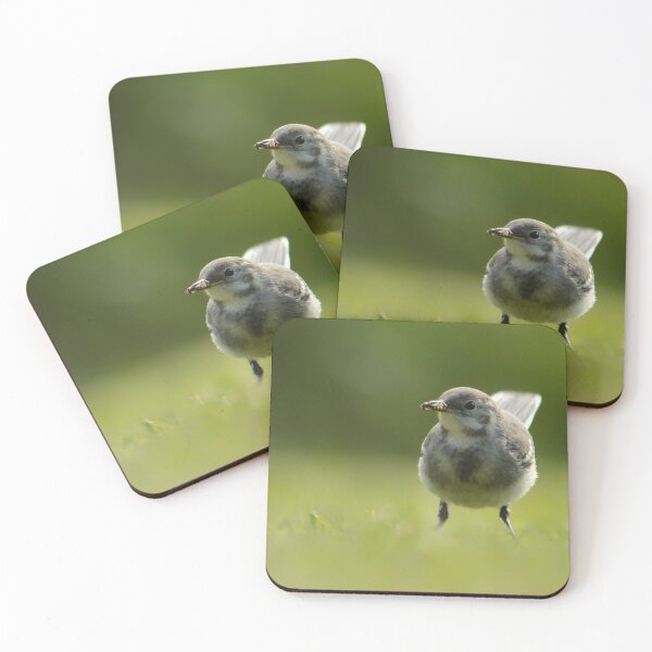 Item preview, young wagtail with hoverfly meal! designed and sold by ETstickerz.