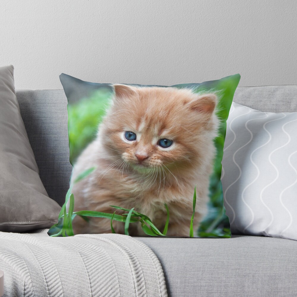 kitten throw pillow