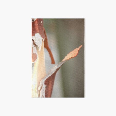 Eucalyptus tree Art Board Print