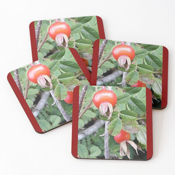 Item preview, Rosehips designed and sold by Pickle-Mouse.