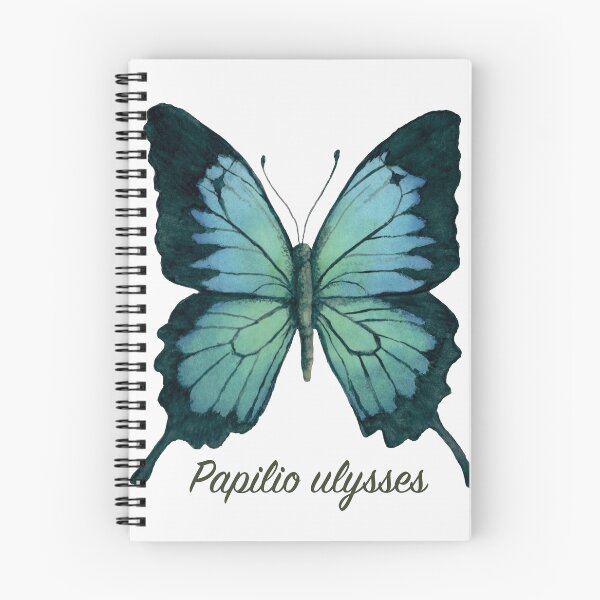 Item preview, Tropical Blue Ulysses Butterfly Specimen designed and sold by JillyBeanDesign.