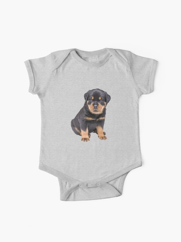 良質 美品 19so ennoy 1LDK rottweiler deluxe ovy - メンズ