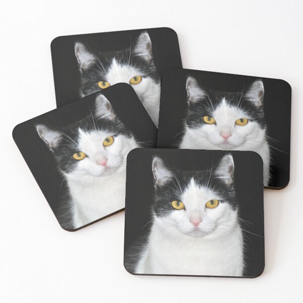 Item preview, Black and white cat designed and sold by IoanaHraball.