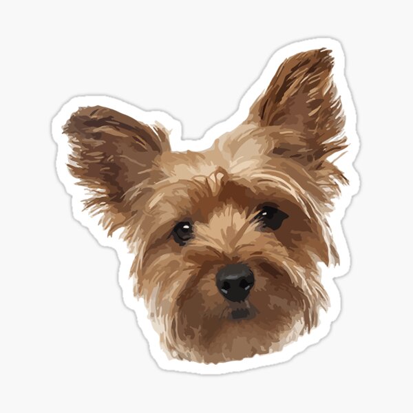 "Yorkshire Terrier" Sticker for Sale by ClaraMceneff Redbubble