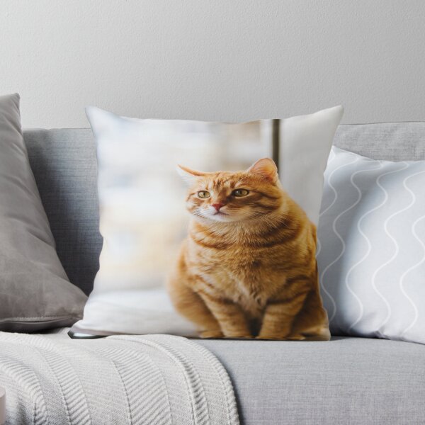 Pillow / Baby Cat Throw Pillow