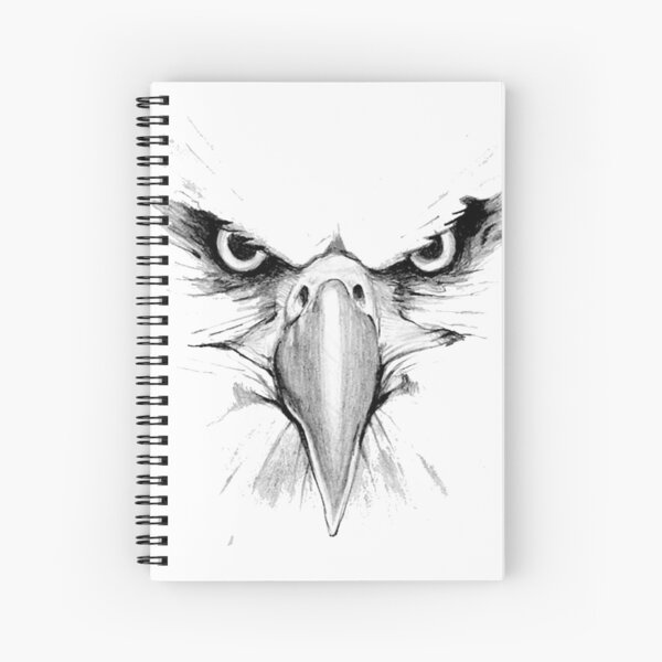 Vintage Bald Eagle Bird Head Illustration Retro 1800s Black and White  Eagles Birds Image | Scarf