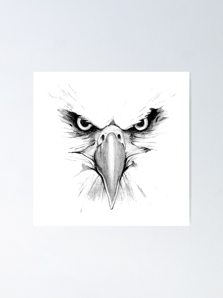 Eagle Drawing Easy | How to Draw an Eagle Head, Eyes and Beak - YouTube