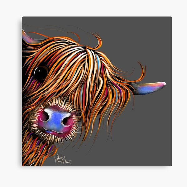 HiGHLaND CoW PRiNT SCoTTiSH ' SuGaR LuMP oN GReY ‘ BY SHiRLeY MacARTHuR Canvas Print
