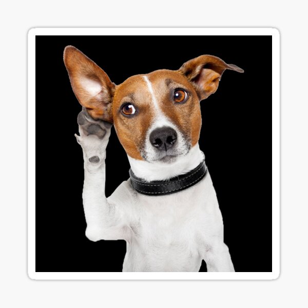 Item preview, Jack Russell Terrier Dog Funny designed and sold by Coolstuff4you71.