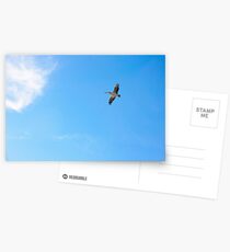 Soaring Postcards