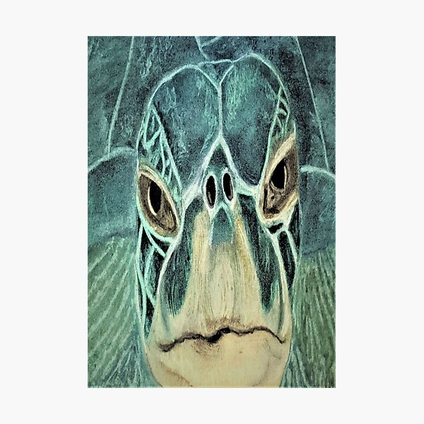 Item preview, Señor Sea Turtle designed and sold by Andi-Impression.