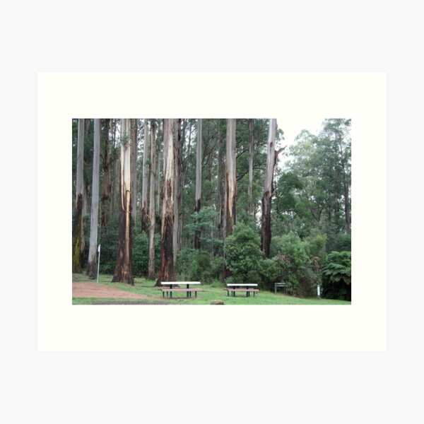 Item preview, Sherbrook Forest. designed and sold by glenlea.