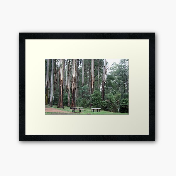 Item preview, Sherbrook Forest. designed and sold by glenlea.