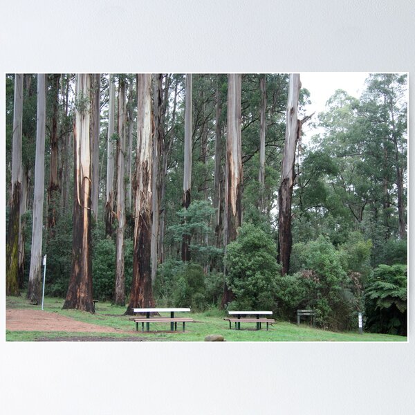 Item preview, Sherbrook Forest. designed and sold by glenlea.