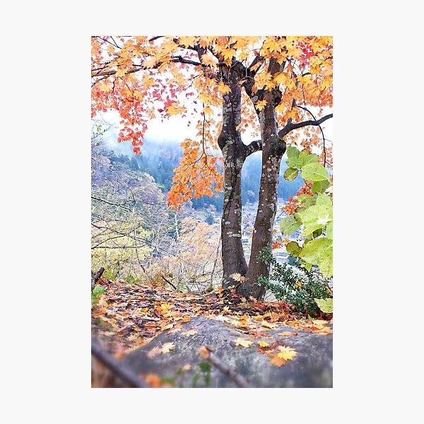 Item preview, Autumn in Japan designed and sold by DerekEntwistle.