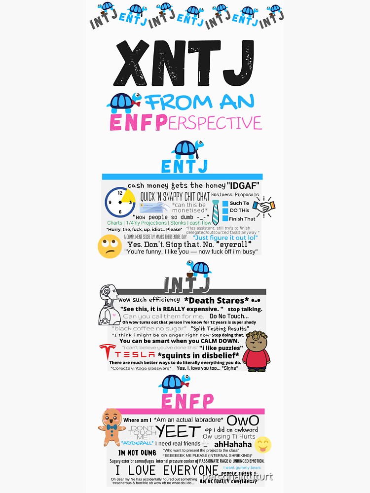 Funny INTJ Definition Sticker MBTI Personality Type 