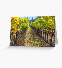 Vineyard Light Greeting Card