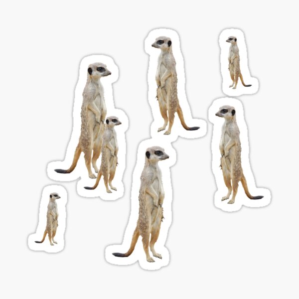 Item preview, Meerkat  designed and sold by darwinsworld.