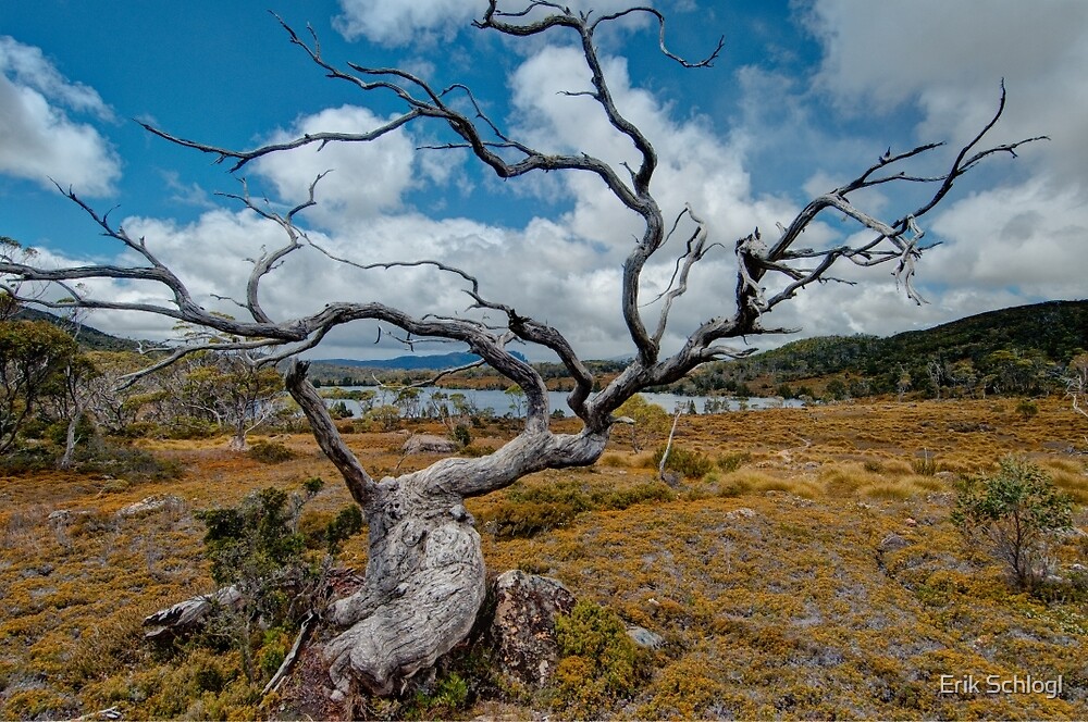 "Lake Windermere, Tasmania" by Erik Schlogl Redbubble