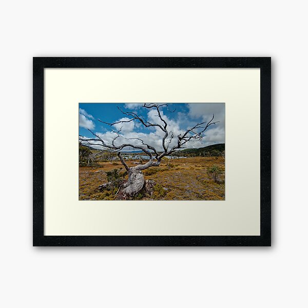 Item preview, Lake Windermere, Tasmania designed and sold by Erik Schlogl.