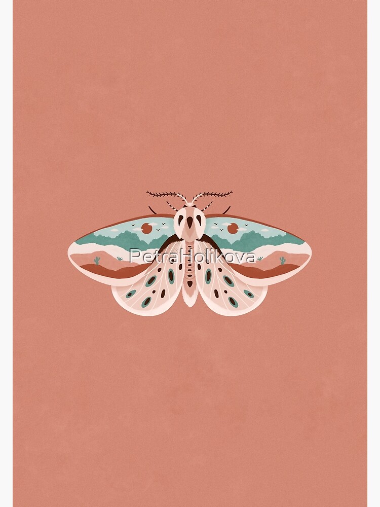Desert Moth by PetraHolikova