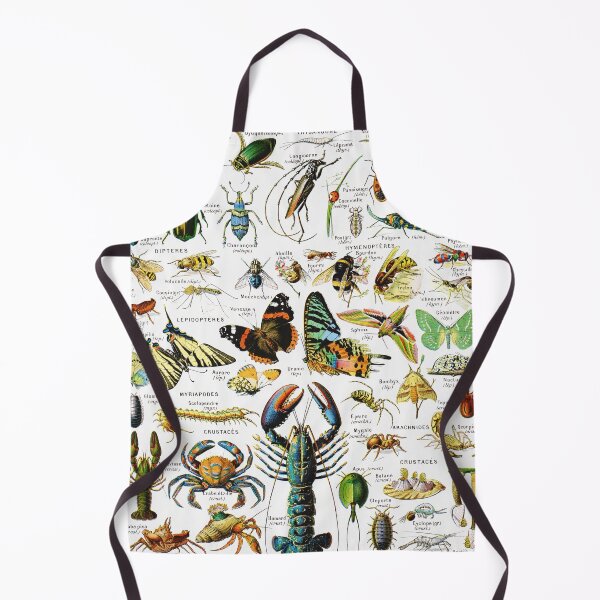 Item preview, Adolphe Millot - Arthropodes - Vintage french zoology illustration designed and sold by Gardenlibrary.