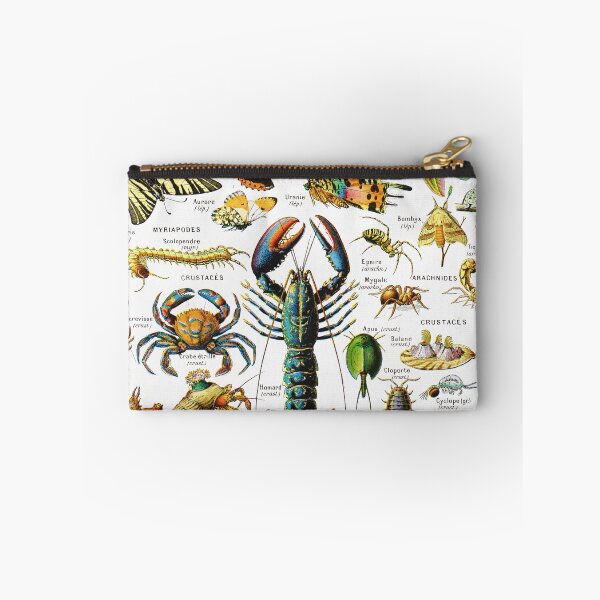 Item preview, Adolphe Millot - Arthropodes - Vintage french zoology illustration designed and sold by Gardenlibrary.