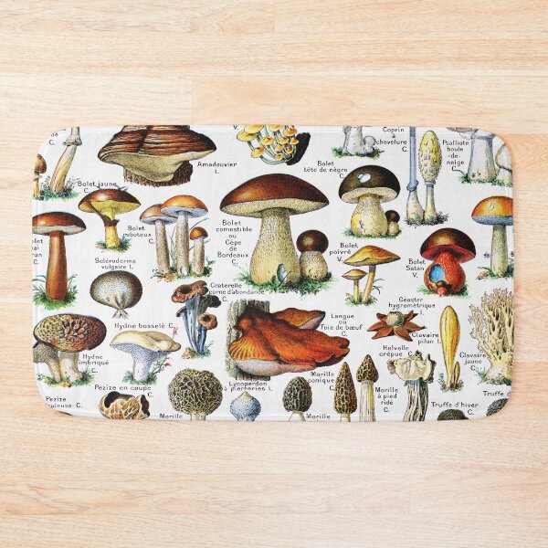 Item preview, Adolphe Millot - Champignons - Vintage french mycology illustration designed and sold by Gardenlibrary.