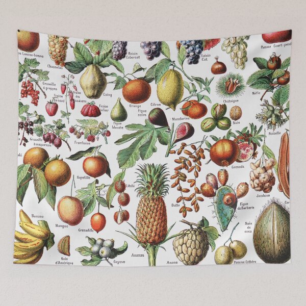 Item preview, Adolphe Millot - Fruits - Vintage french botanical illustration designed and sold by Gardenlibrary.