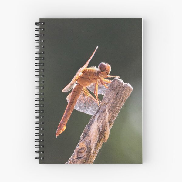 Item preview, Smiling Dragonfly designed and sold by Stephanie Laird.