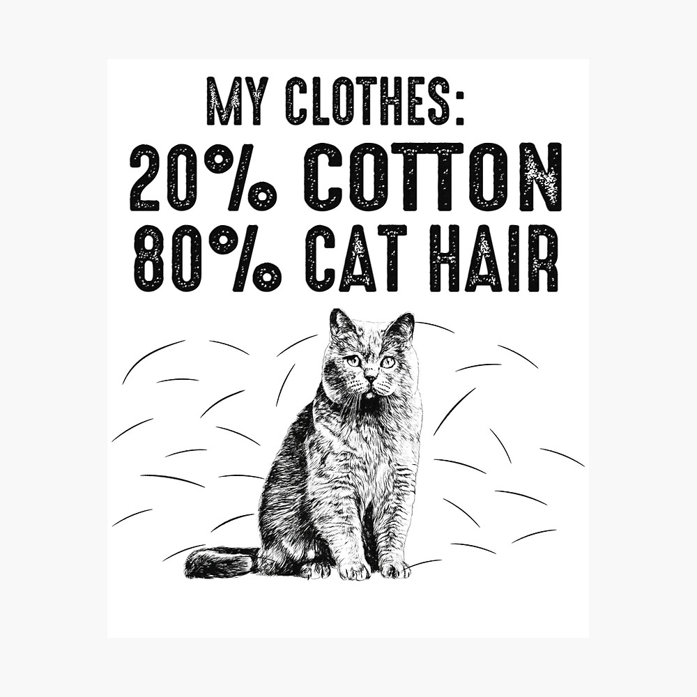 Top 117 + Cat hair on clothes meme polarrunningexpeditions