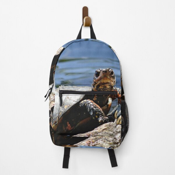 Item preview, A Rare Spotted Turtle designed and sold by BBrightman.