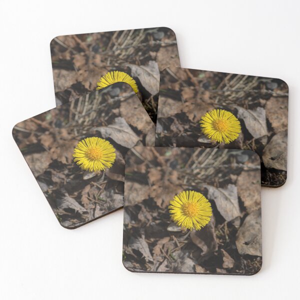 Item preview, coltsfoot designed and sold by Scandinavian.