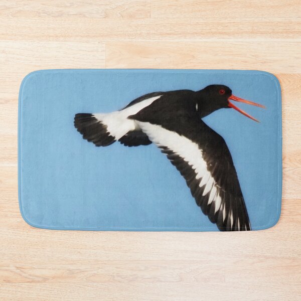 Item preview, An oystercatcher  designed and sold by Alan Mackinnon.
