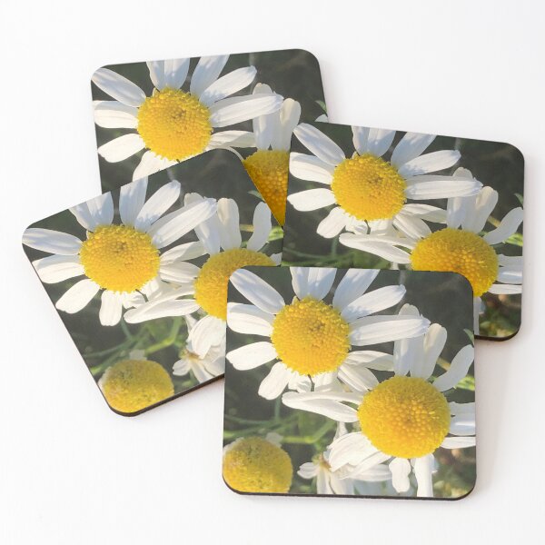 Item preview, Shasta Daisies Wild Nature designed and sold by Kaushal Pal.