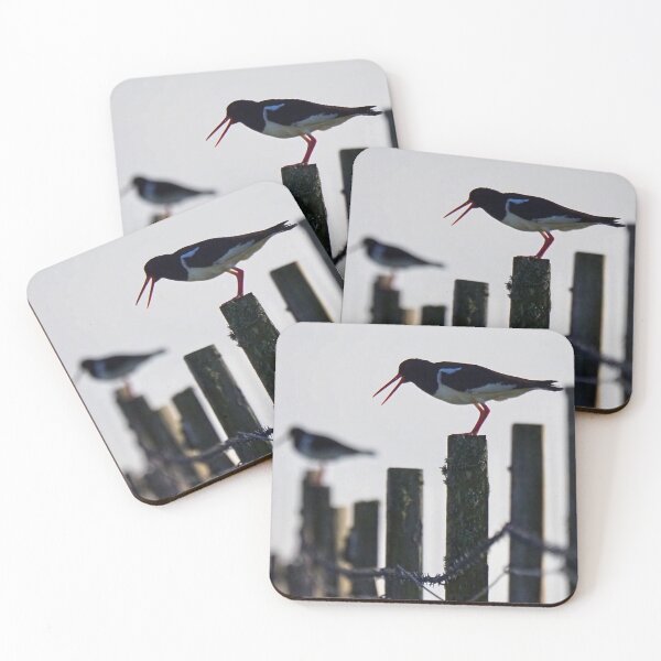 Item preview, An oystercatcher  designed and sold by Alan Mackinnon.
