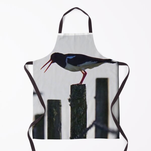Item preview, An oystercatcher designed and sold by Alan Mackinnon.