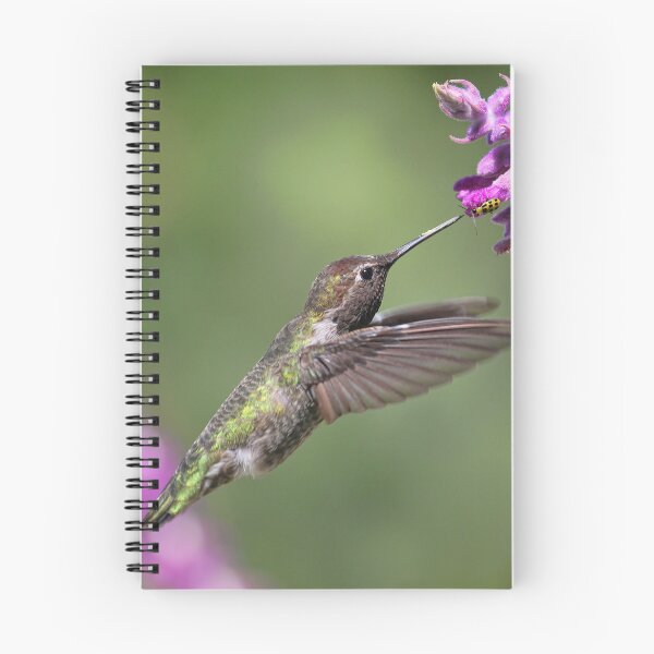Item preview, Humming Bird and Cute Little Yellow Dotted Bug designed and sold by Stephanie Laird.