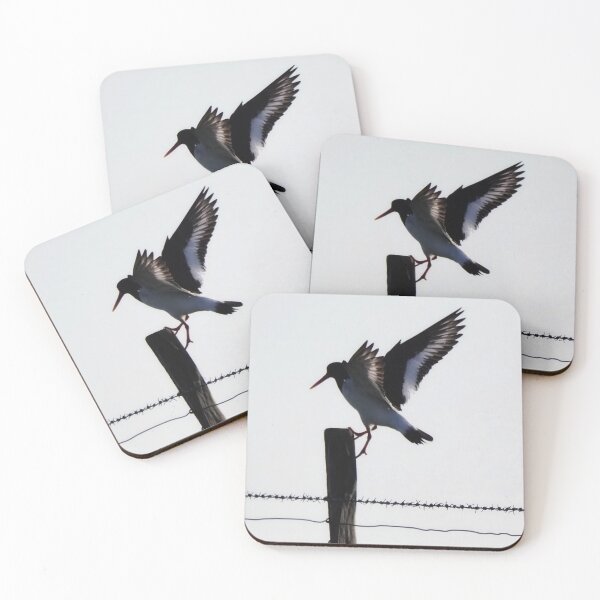 Item preview, An oystercatcher  designed and sold by Alan Mackinnon.