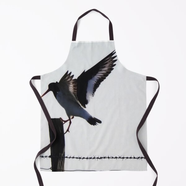 Item preview, An oystercatcher designed and sold by Alan Mackinnon.