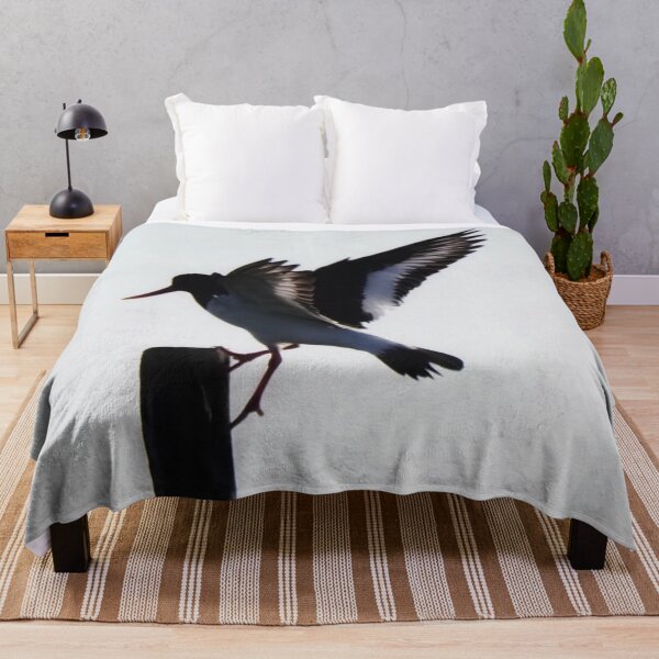 Item preview, An oystercatcher designed and sold by Alan Mackinnon.