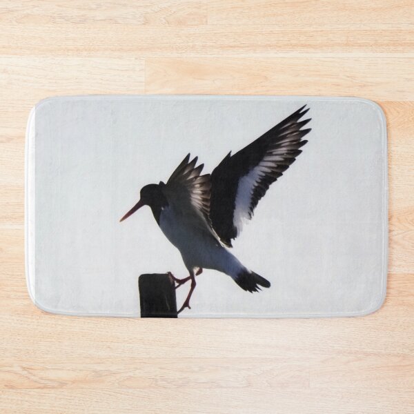 Item preview, An oystercatcher  designed and sold by Alan Mackinnon.
