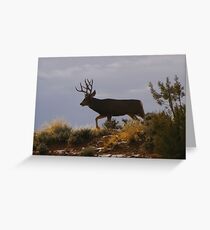 4x5 Greeting Card