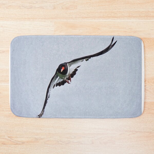Item preview,  An oystercatcher  designed and sold by Alan Mackinnon.