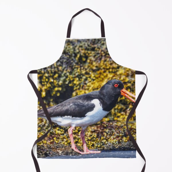Item preview, An oystercatcher designed and sold by Alan Mackinnon.