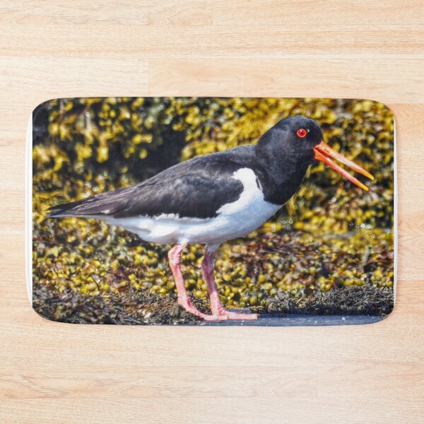 Item preview, An oystercatcher  designed and sold by Alan Mackinnon.